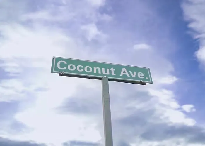 In Ochi Rios Coconut Avenue Ocho Ríos